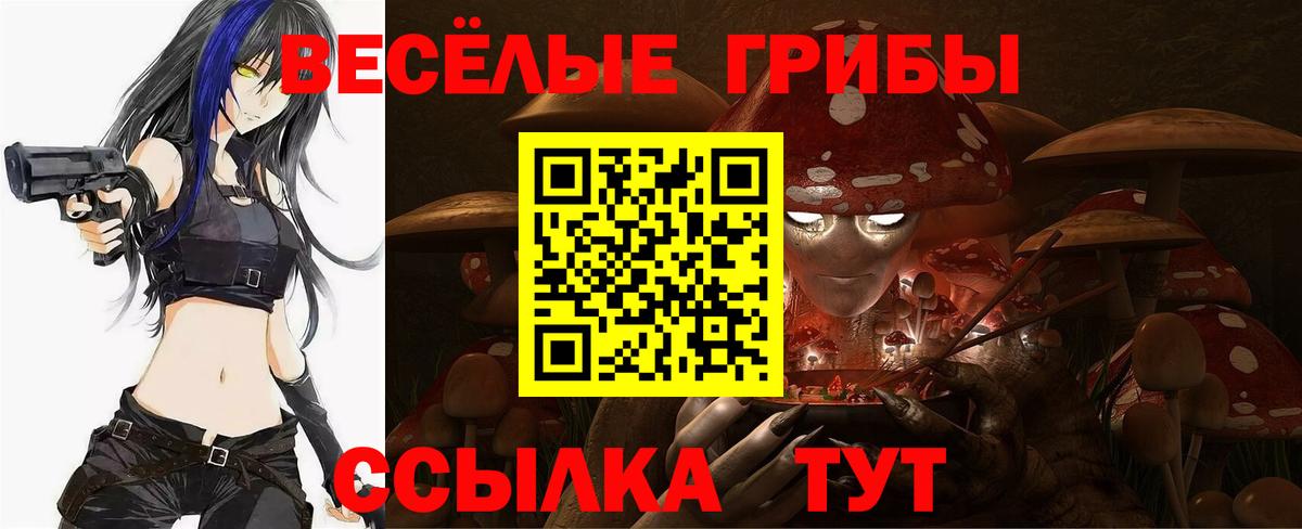 Егорьевск  Галлюциногенные грибы мухоморы  Вход с VPN 